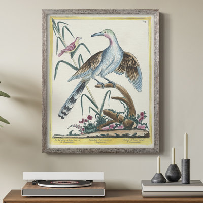 «Pastel Birds V», reproduction encadrée en bois massif