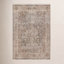 Clemente Tan Taupe Oriental Rug