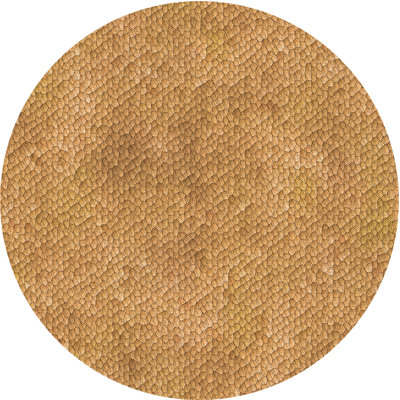 Indoor Rug