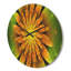 Horloge murale moderne en bois jaune vif sur fond vert-63618695