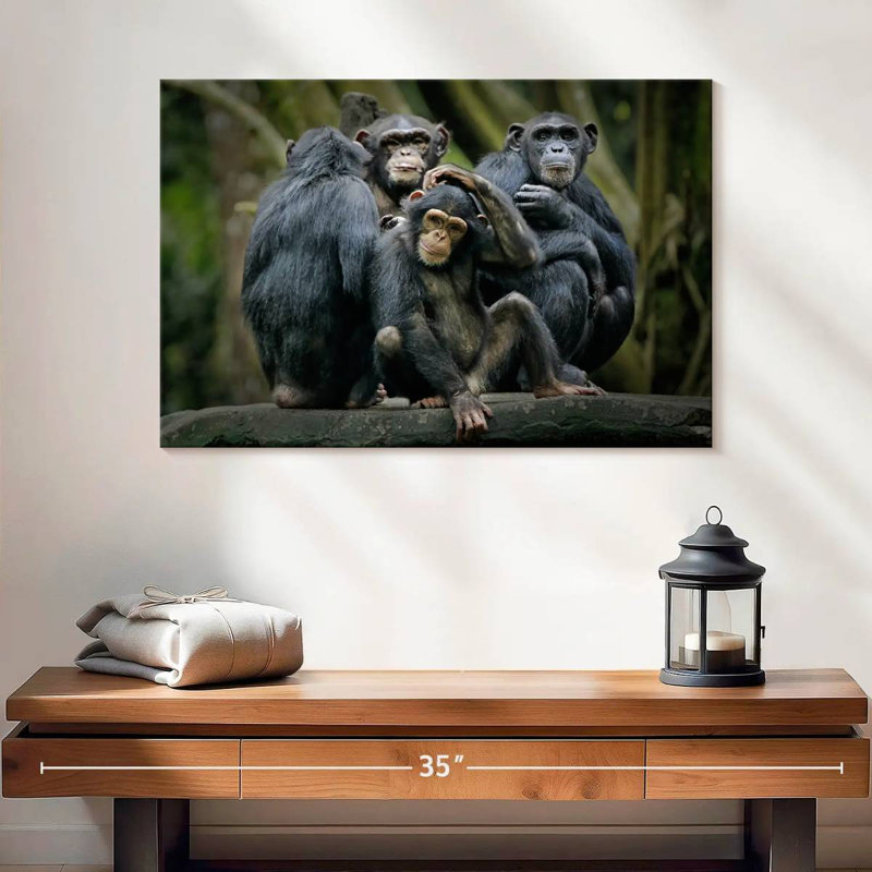 Chimps And Bonobos, 16" H x 24" W
