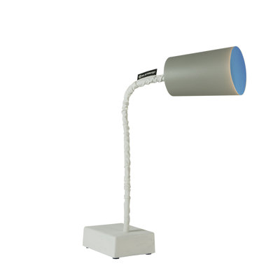 Adjustable Metal Desk Lamp