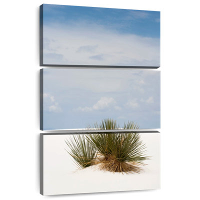 Buisson de dunes de sable Alvord