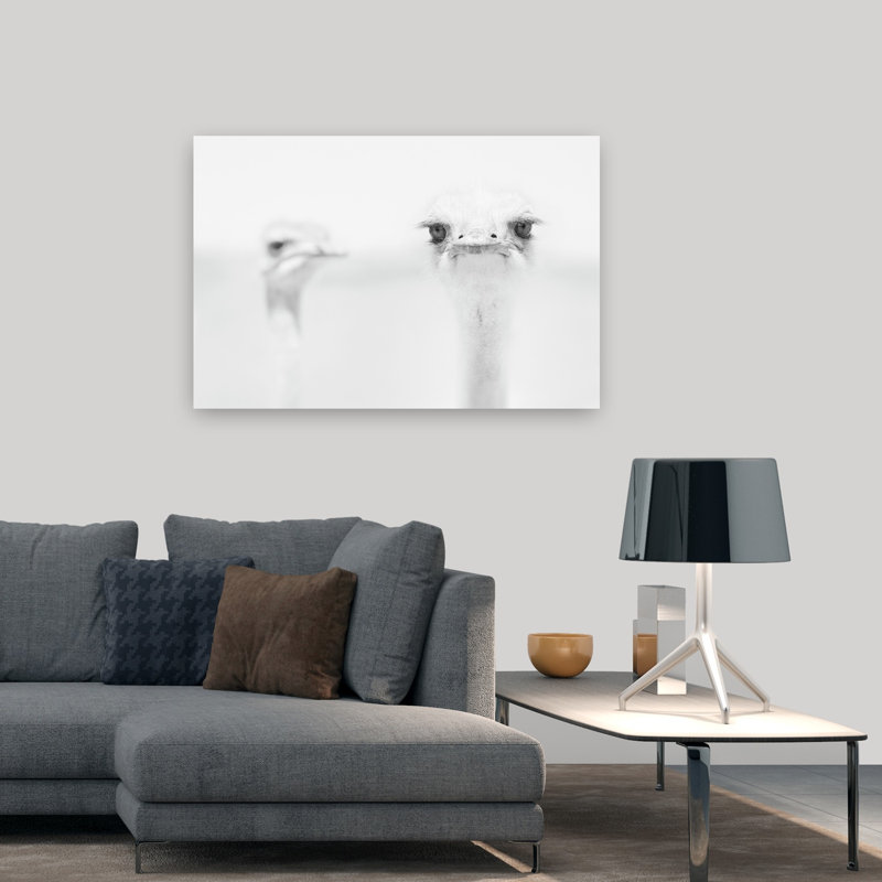 Curious Ostrich Portrait Minimalist Bird Wall Art Print by Carlo Tonti - Wrapped Canvas Print, 81.28cm H x 121.92cm W