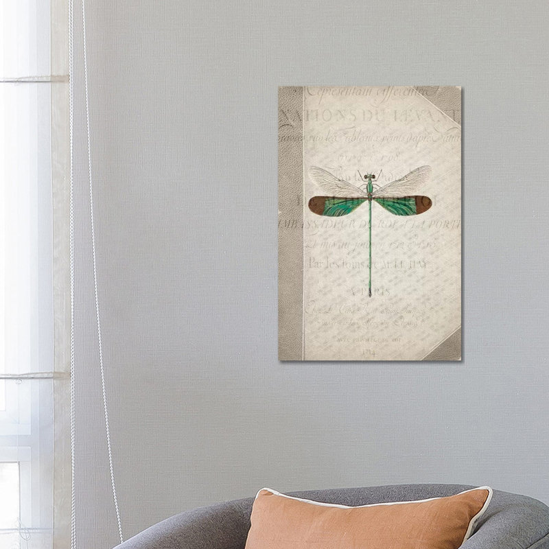 Dragonfly Book II by Kimberly Allen - Print on Canvas, 66.04cm H x 45.72cm W x 3.81cm D, Wrapped Canvas
