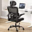 Chaise de bureau ergonomique, chaise de bureau à haut dossier avec accoudoirs rabattables et support lombaire réglable, chaise d'ordinateur pour la maison et le bureau