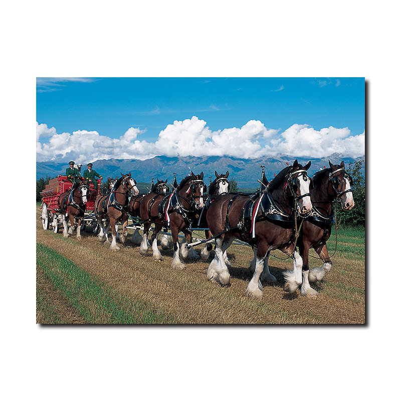 "Clydesdales in Blue Sky Mountains", reproduction de photo sur toile tendue, H 18 po x l 24 po x P 2 po