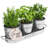 Indoor Herb Garden Planter Set with Tray-1028904030