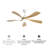 Prana 52'' Ceiling Fan with LED Lights-1107817980