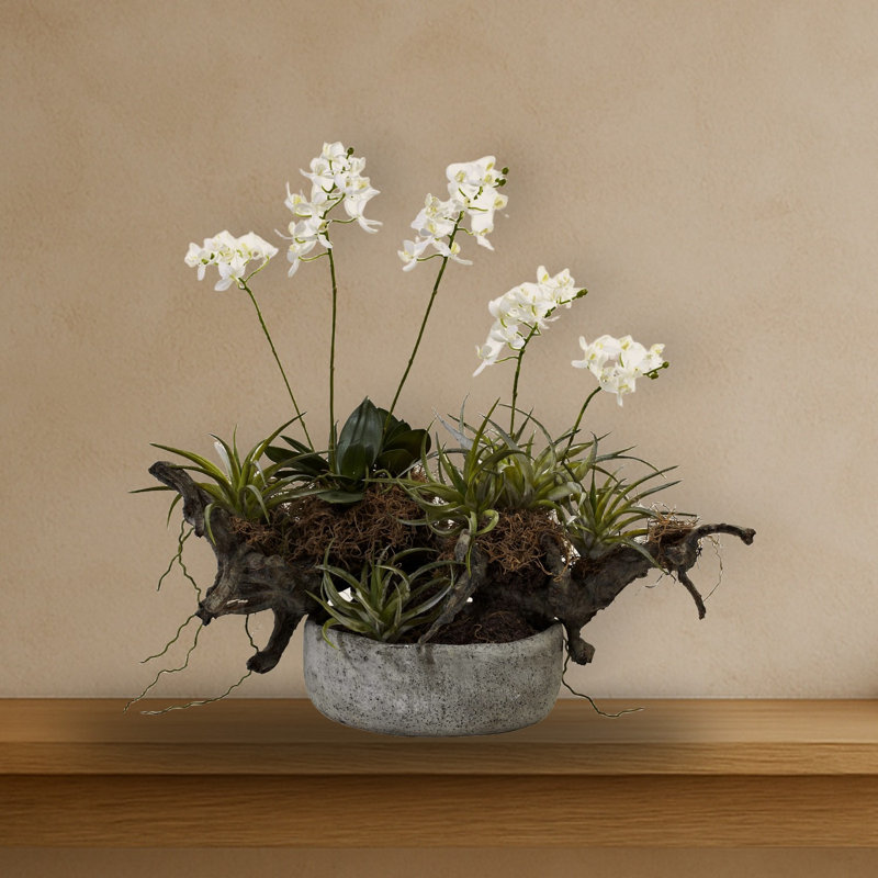 Orchid and Succulent Faux Floral in Vase