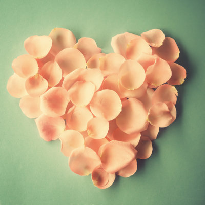 Petal Heart 1 Piece Wrapped Canvas Wall Art