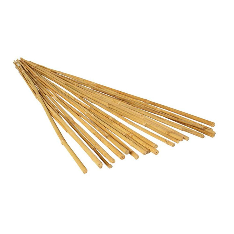 Senetra Bamboo Plants & Flowers Garden Stake