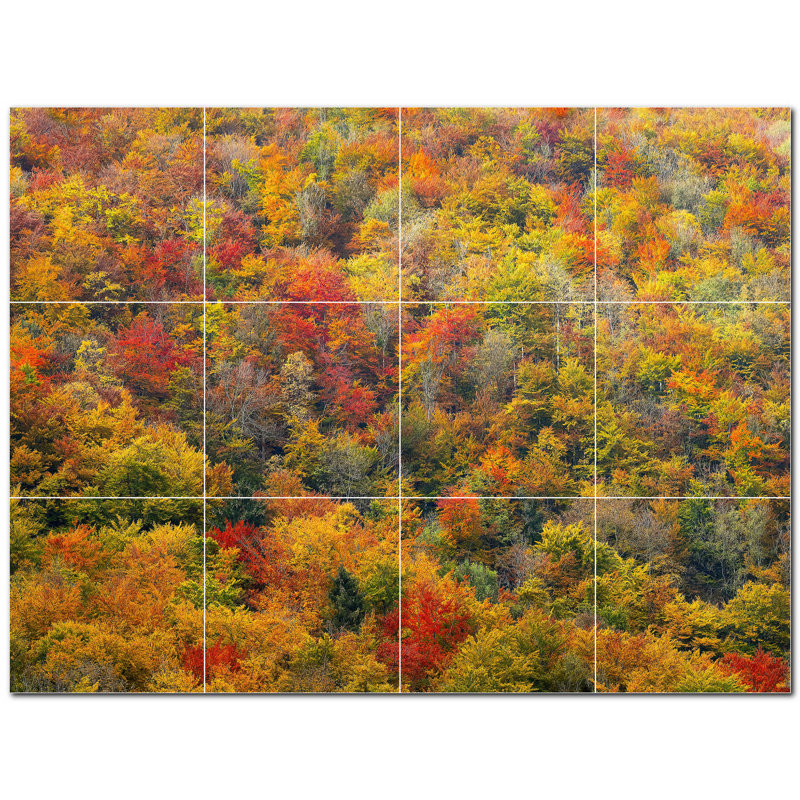 Photo d'automne 8 x 8