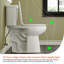 Toilette allongée deux pièces 19,5 po à hauteur d'assise confortable (siège inclus)-100864815