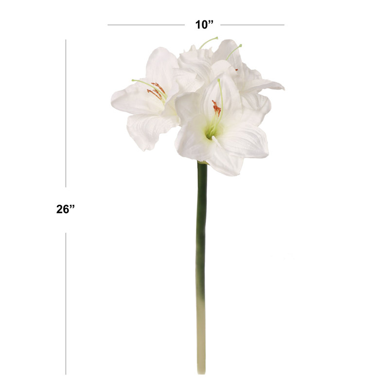 Arrangement floral Amaryllis