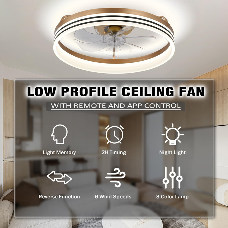 Ceiling Fan with LED Lights