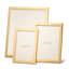 Martin Metal Picture Frame-44429971