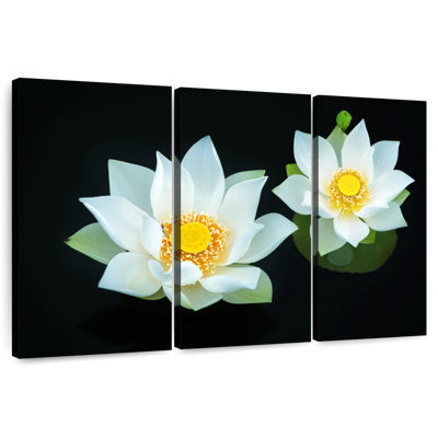 Harnek Lotuses On Black
