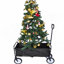 Chariot de plage pliable