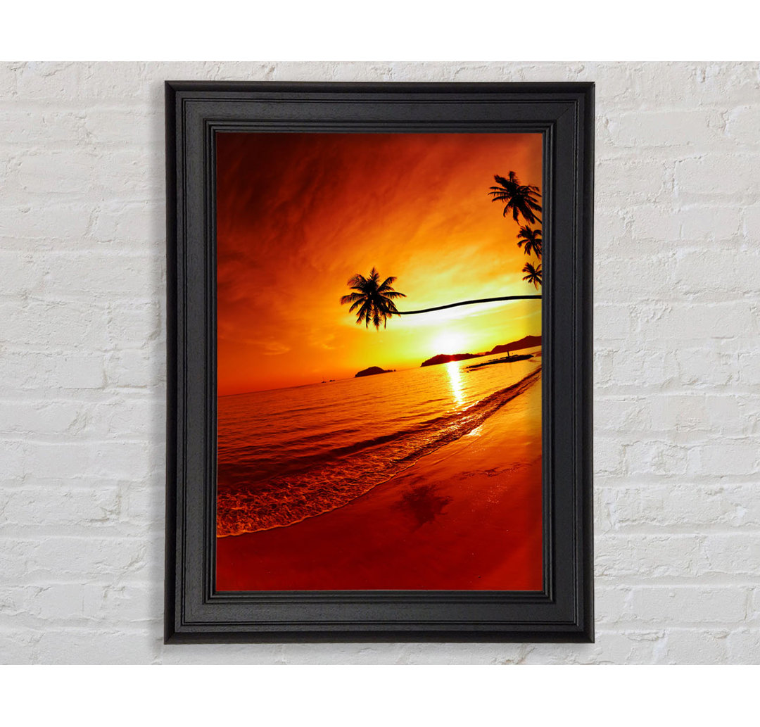 Gerahmtes Bild Ocean Sunset Palm