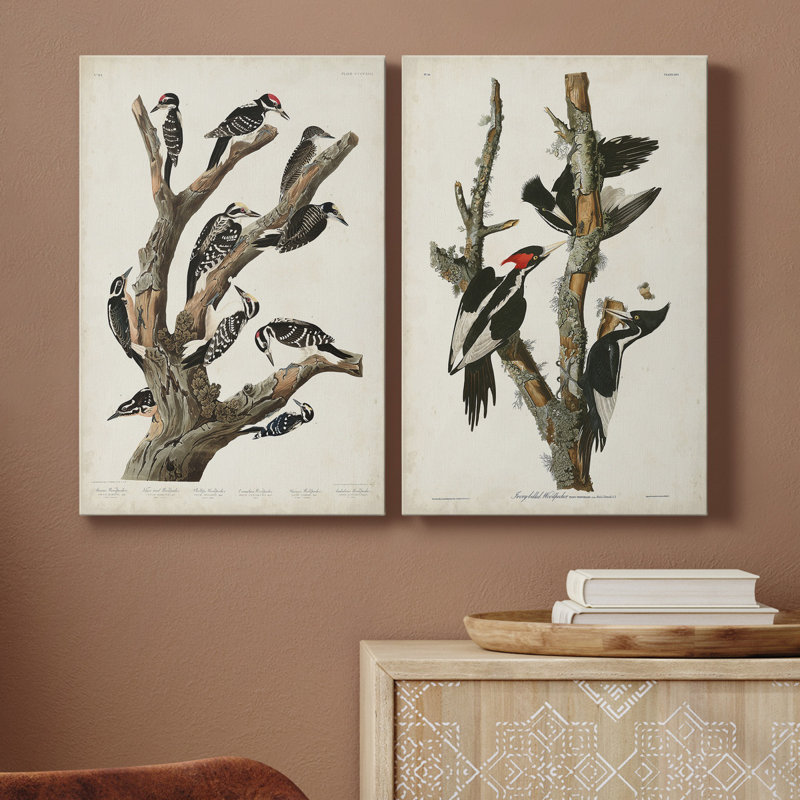 Pl. 417 Marias Woodpecker, toile tendue avec châssis - Prêt à accrocher, H 18 po x l 24 po x P 1 po
