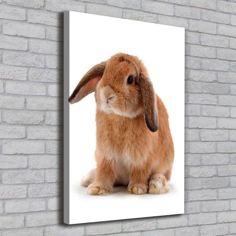 Rabbit - Wrapped Canvas Print