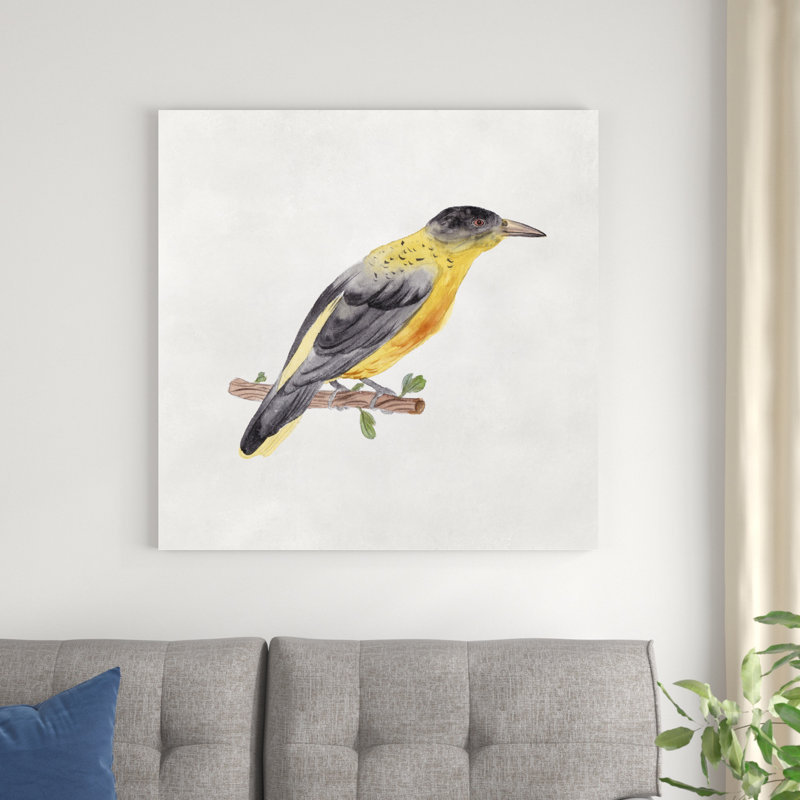 " Bird Sketch VI " by Melissa Wang Painting Print, 36" H x 36" W