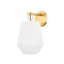 Debi 1 Light Wall Sconce