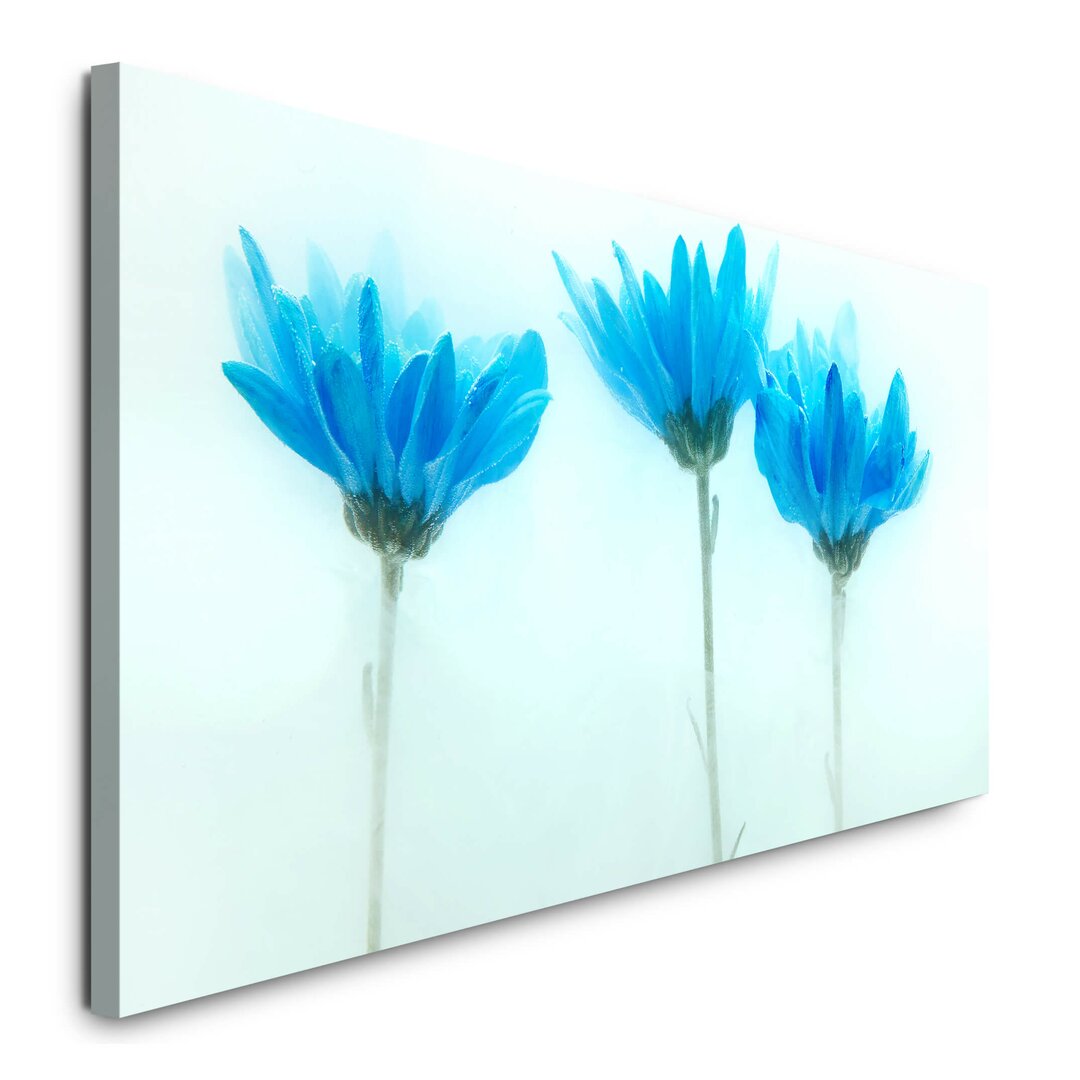 Leinwandbild Blaue Blumen