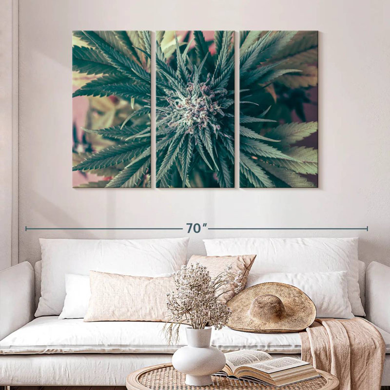 Marijuana Blossom, H 32 po x l 50 po