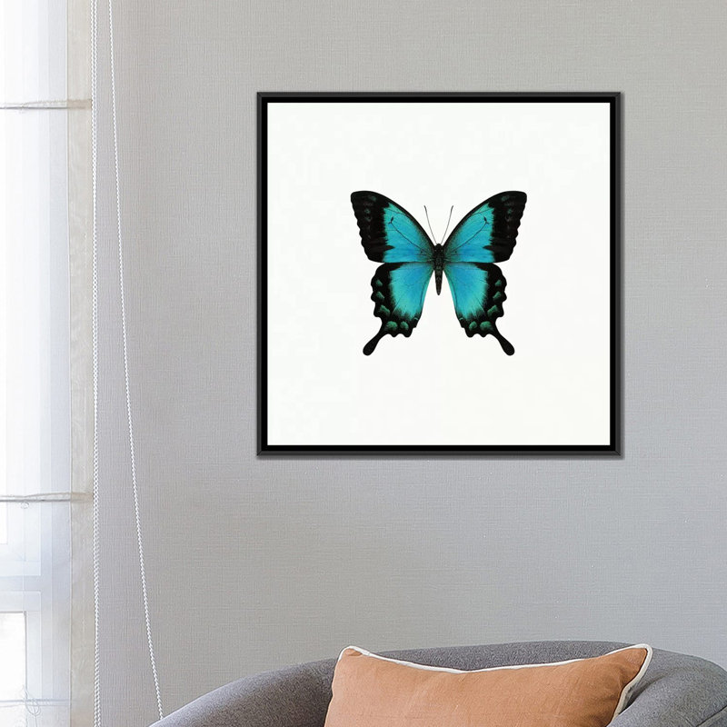 « blue papillon », impression sur toile tendue, H 18 po x l 18 po x P 1,5 po, Toile avec cadre noir, Pas de tapis