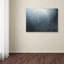« sardines fireworks », reproduction de photo sur toile tendue-23537493