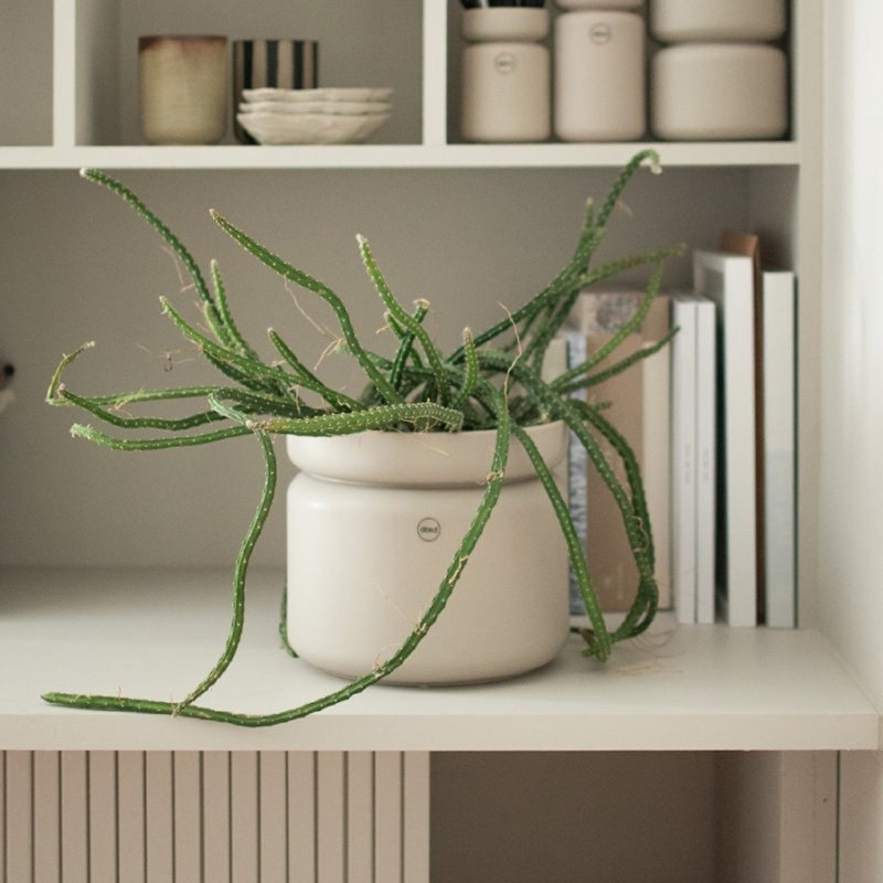 Neck Vase, Beige
