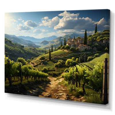 " Green Vineyard Majestic Provence "