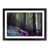 Black Framed selected