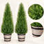 36 " H Faux Cedar Topiary in Plastic Pot
