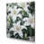Toile tendue