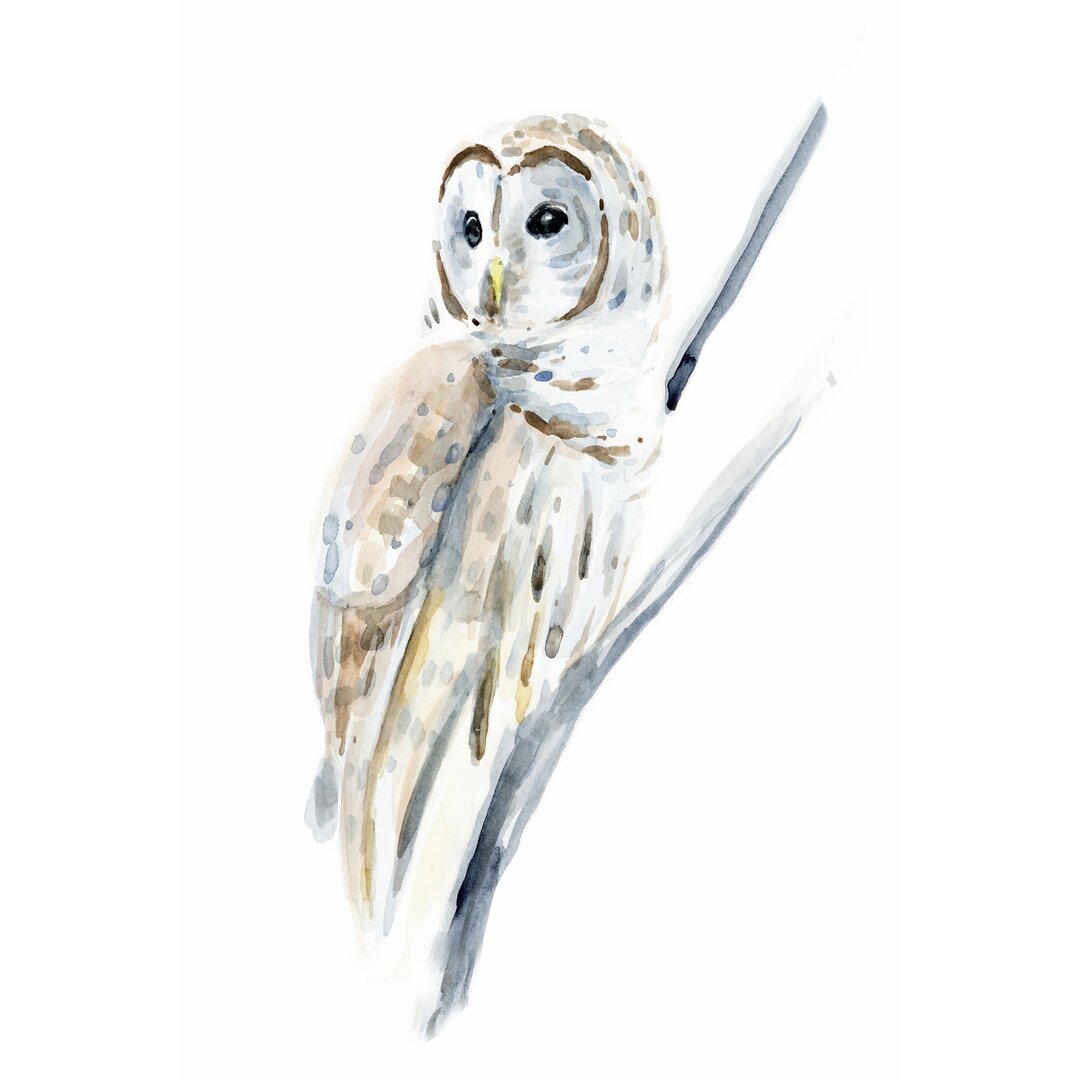 Leinwandbild Arctic Owl I von Annie Warren