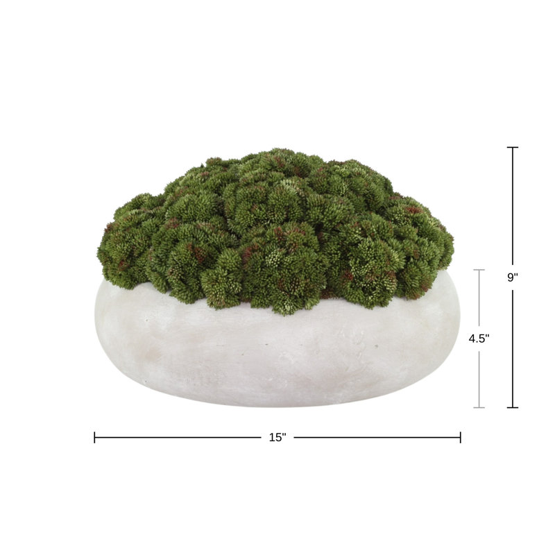 Sedum Arranged in a Stone Planter, 9" H x 15" W x 15" D, Green