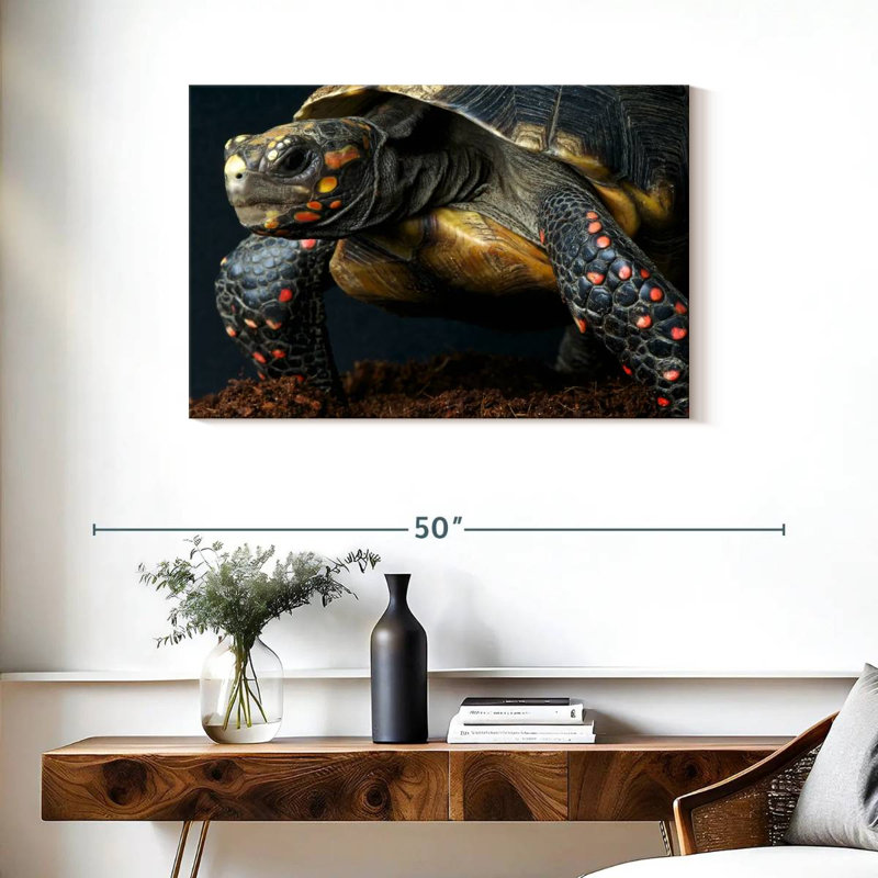 Tortue à pieds rouges, H 24 po x l 36 po