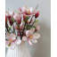 Tige de magnolia rose 20 po