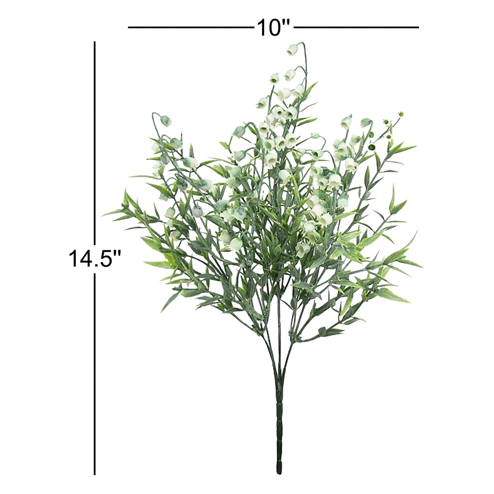 15" Lily of the Valley Plant