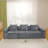 Floor Sofa With Pillow-1863542995