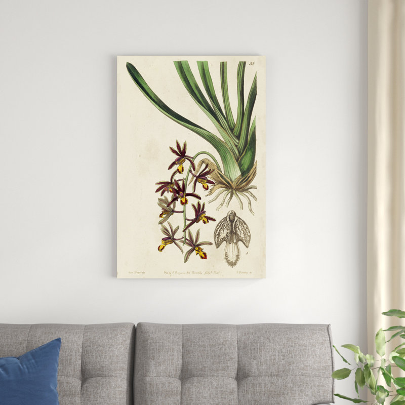 Orchidée de printemps V, H 36 po x l 24 po x P 1,25 po