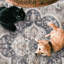 Tapis beige ivoire lavable à la machine Vintage Lefkothea Joy-1625892652-1652715518