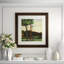 Cypress Trees Framed Print
