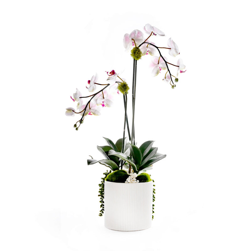 Faux Orchid Flowers w/Geodes, Succulent in White Ceramic Pot