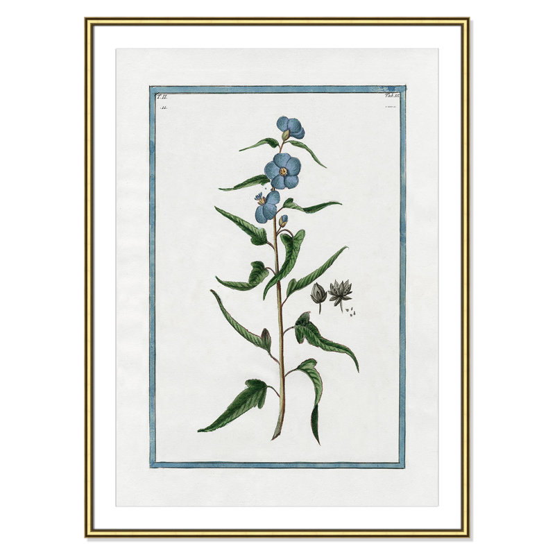 Colombe "Shabby Elegance Botanical I" Print, Gold Framed, 30.75" W x 42.75" H