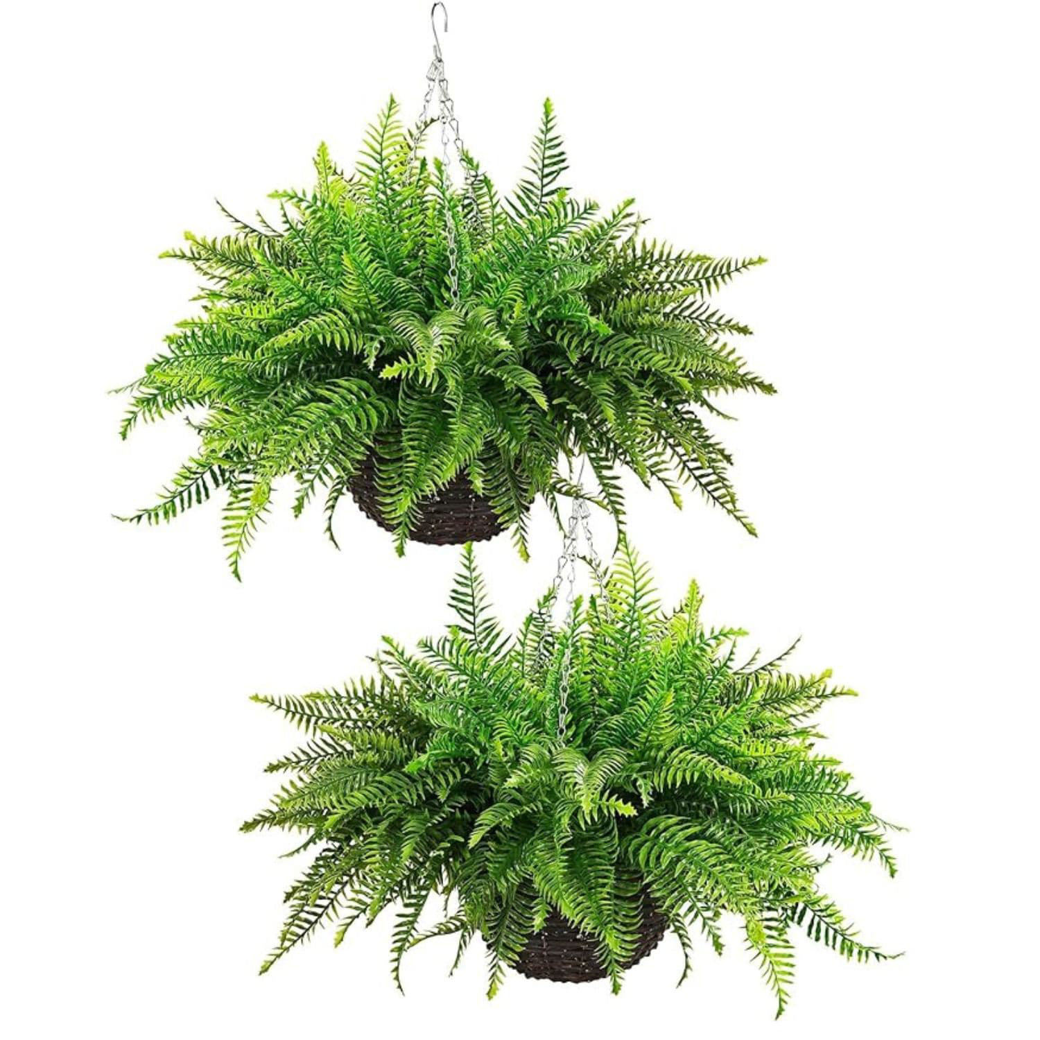 Dakota Fields 23in Artificial Boston Ferns Hanging Plant Wayfair