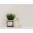 Kinzlie Spice Reed Diffusers And Sticks